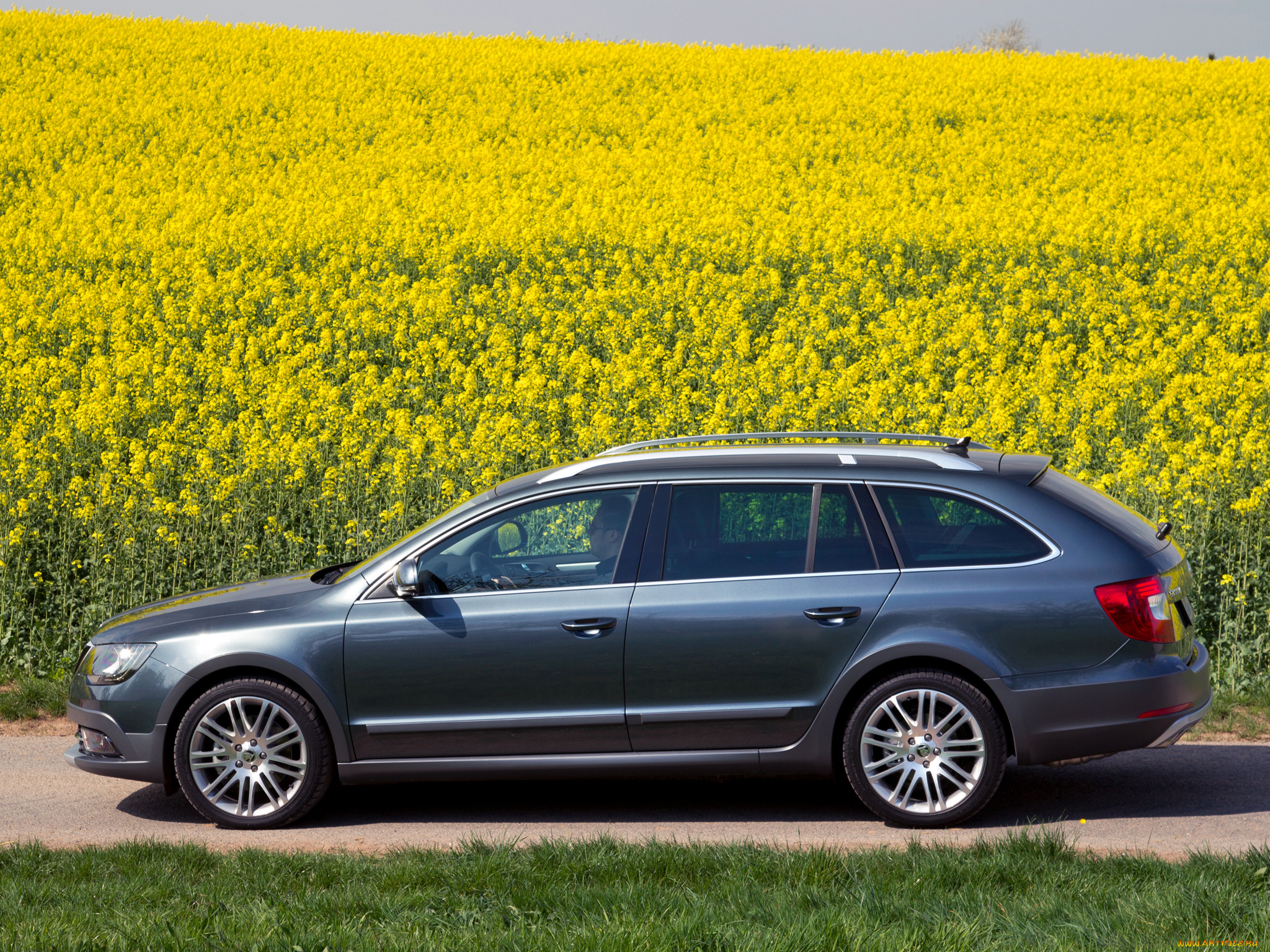 , skoda, outdoor, combi, superb, 2014